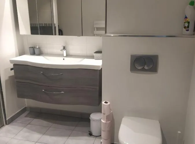 Apartment Entier La Plagne