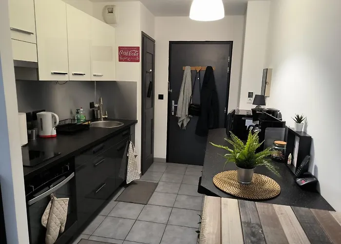 Apartment Entier La Plagne